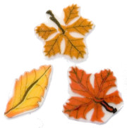 autumn_leaf.jpg autumn_leaf.jpg