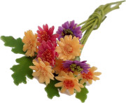 gerbera.jpg gerbera.jpg