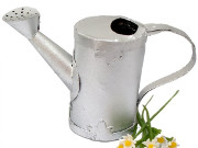 watering_can.jpg watering_can.jpg