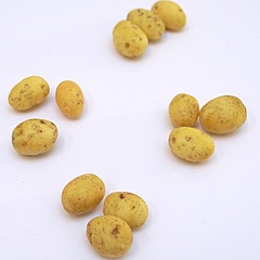 Image of Potatoes, Clean pk3