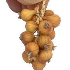 Image of Onions Strings (Original)