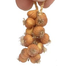 Image of Onion Strings (new)