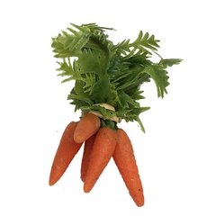 Image of <b>NEW:</b> Carrot Bunch, stencilled leaf.